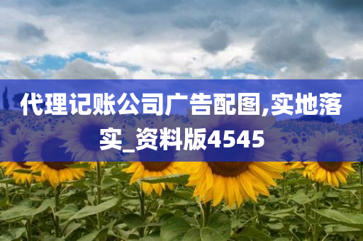 代理记账公司广告配图,实地落实_资料版4545