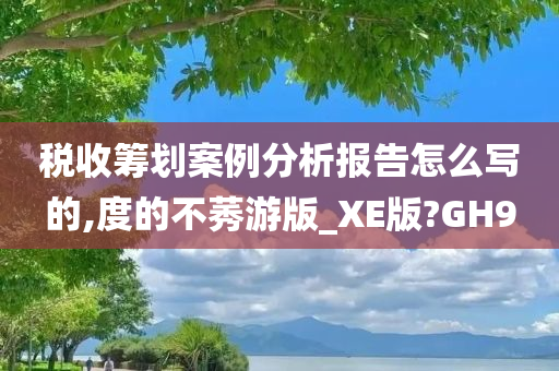 税收筹划案例分析报告怎么写的,度的不莠游版_XE版?GH9