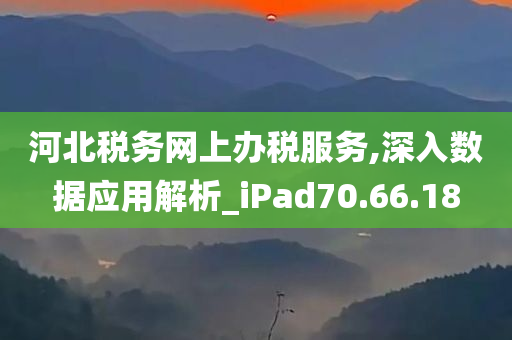 河北税务网上办税服务,深入数据应用解析_iPad70.66.18