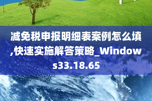 减免税申报明细表案例怎么填,快速实施解答策略_Windows33.18.65