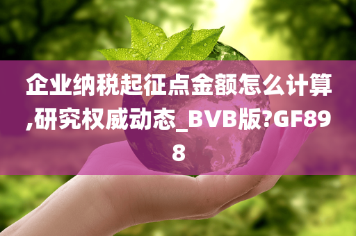 企业纳税起征点金额怎么计算,研究权威动态_BVB版?GF898