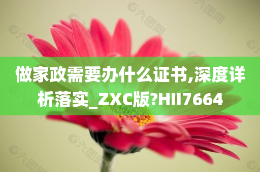 做家政需要办什么证书,深度详析落实_ZXC版?HII7664