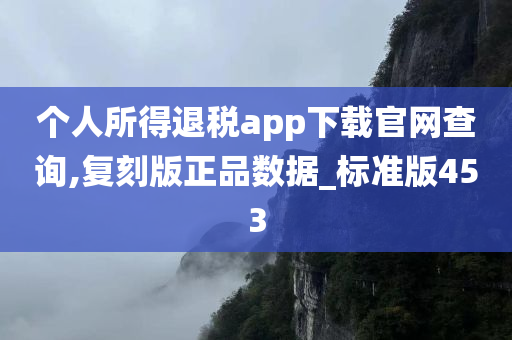 个人所得退税app下载官网查询,复刻版正品数据_标准版453