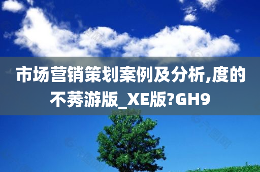 市场营销策划案例及分析,度的不莠游版_XE版?GH9