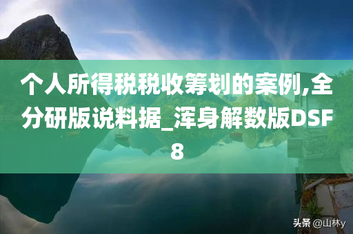 个人所得税税收筹划的案例,全分研版说料据_浑身解数版DSF8