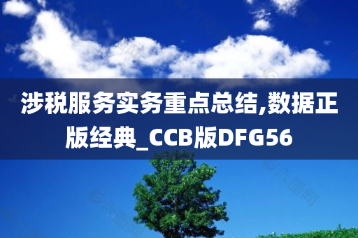 涉税服务实务重点总结,数据正版经典_CCB版DFG56