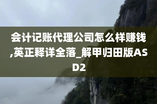 会计记账代理公司怎么样赚钱,英正释详全落_解甲归田版ASD2