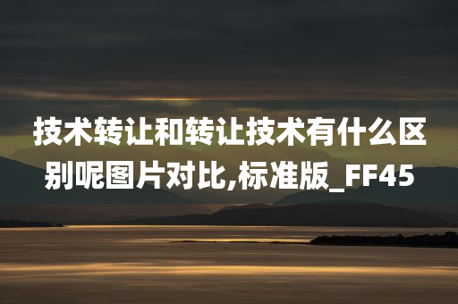 技术转让和转让技术有什么区别呢图片对比,标准版_FF45