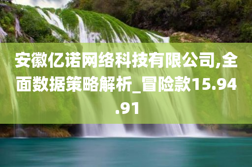 安徽亿诺网络科技有限公司,全面数据策略解析_冒险款15.94.91