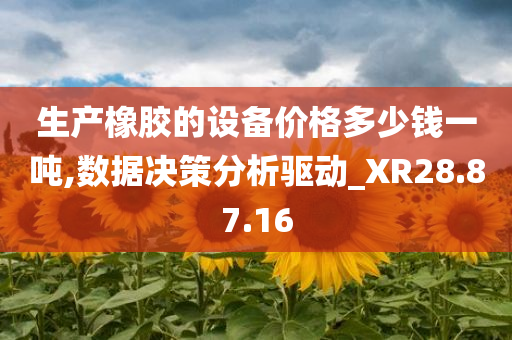 生产橡胶的设备价格多少钱一吨,数据决策分析驱动_XR28.87.16