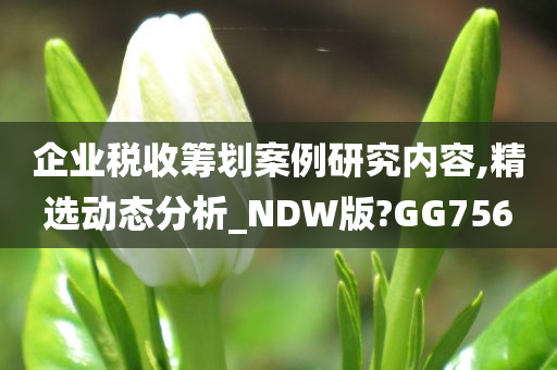 企业税收筹划案例研究内容,精选动态分析_NDW版?GG756