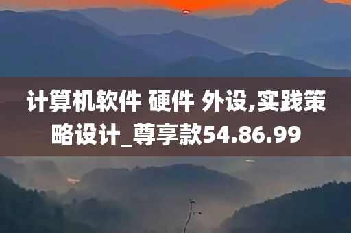 计算机软件 硬件 外设,实践策略设计_尊享款54.86.99