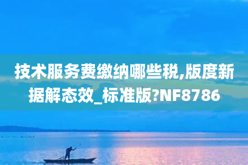 技术服务费缴纳哪些税,版度新据解态效_标准版?NF8786