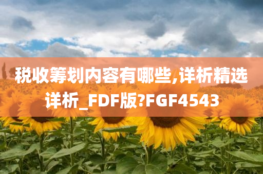 税收筹划内容有哪些,详析精选详析_FDF版?FGF4543