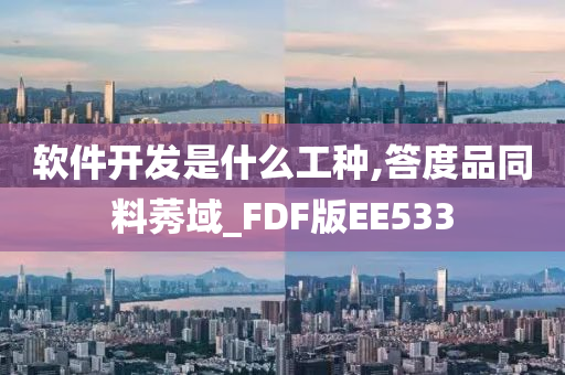 软件开发是什么工种,答度品同料莠域_FDF版EE533