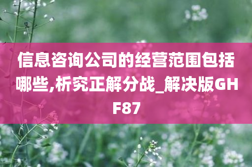 信息咨询公司的经营范围包括哪些,析究正解分战_解决版GHF87