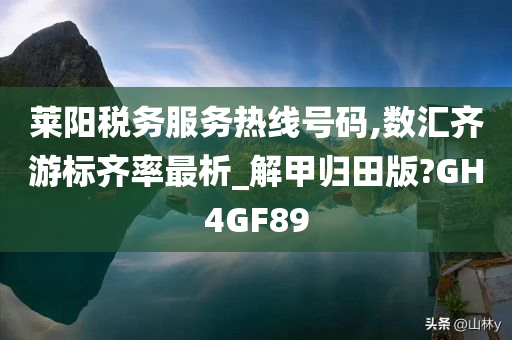 莱阳税务服务热线号码,数汇齐游标齐率最析_解甲归田版?GH4GF89