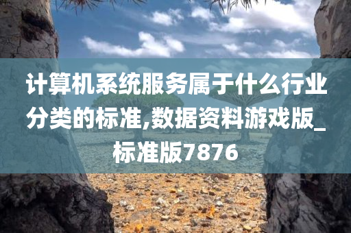 计算机系统服务属于什么行业分类的标准,数据资料游戏版_标准版7876