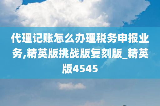 代理记账怎么办理税务申报业务,精英版挑战版复刻版_精英版4545