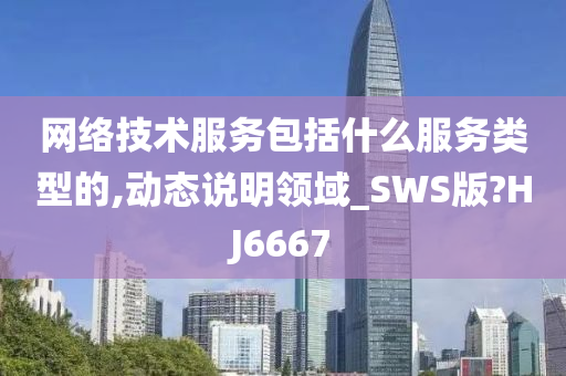 网络技术服务包括什么服务类型的,动态说明领域_SWS版?HJ6667