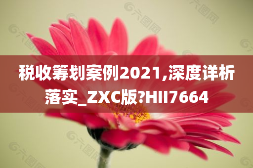 税收筹划案例2021,深度详析落实_ZXC版?HII7664