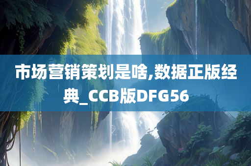 市场营销策划是啥,数据正版经典_CCB版DFG56