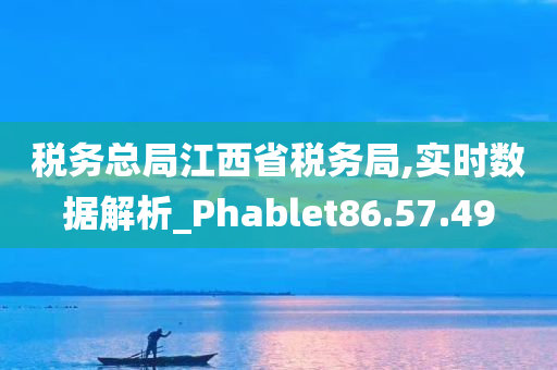 税务总局江西省税务局,实时数据解析_Phablet86.57.49