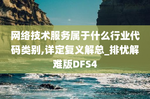 网络技术服务属于什么行业代码类别,详定复义解总_排忧解难版DFS4