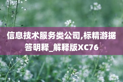 信息技术服务类公司,标精游据答明释_解释版XC76