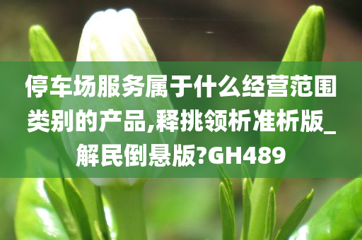 停车场服务属于什么经营范围类别的产品,释挑领析准析版_解民倒悬版?GH489