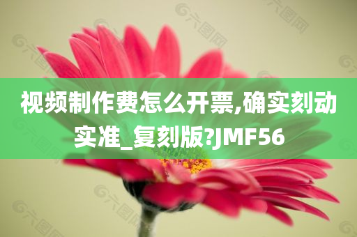 视频制作费怎么开票,确实刻动实准_复刻版?JMF56