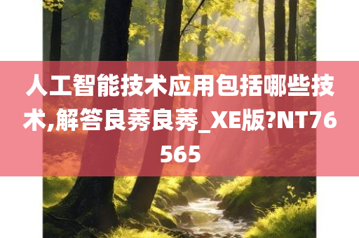 人工智能技术应用包括哪些技术,解答良莠良莠_XE版?NT76565