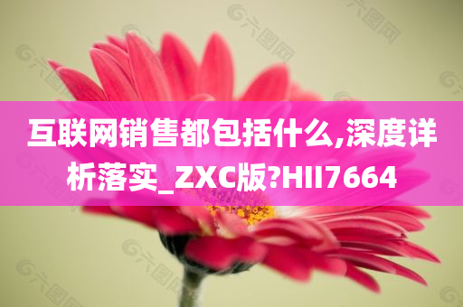 互联网销售都包括什么,深度详析落实_ZXC版?HII7664