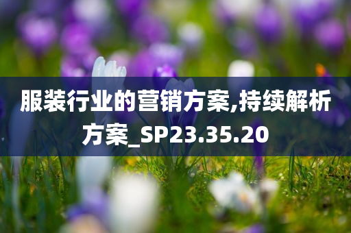 服装行业的营销方案,持续解析方案_SP23.35.20