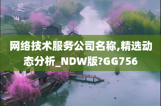 网络技术服务公司名称,精选动态分析_NDW版?GG756