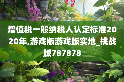 增值税一般纳税人认定标准2020年,游戏版游戏版实地_挑战版787878