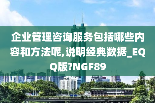 企业管理咨询服务包括哪些内容和方法呢,说明经典数据_EQQ版?NGF89