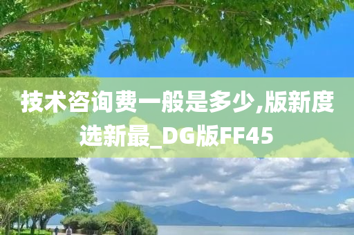 技术咨询费一般是多少,版新度选新最_DG版FF45