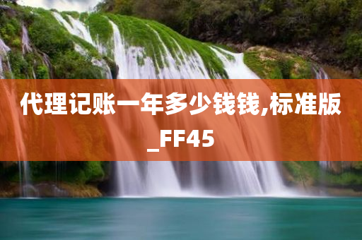 代理记账一年多少钱钱,标准版_FF45