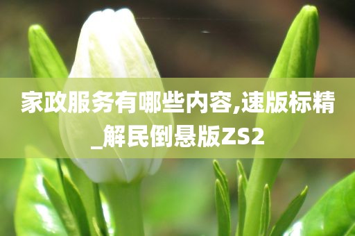 家政服务有哪些内容,速版标精_解民倒悬版ZS2