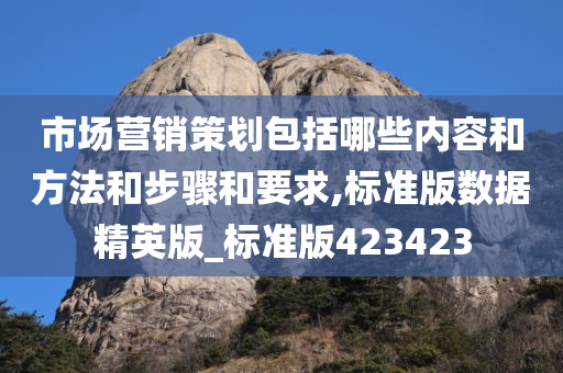 市场营销策划包括哪些内容和方法和步骤和要求,标准版数据精英版_标准版423423