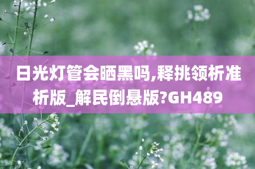 日光灯管会晒黑吗,释挑领析准析版_解民倒悬版?GH489