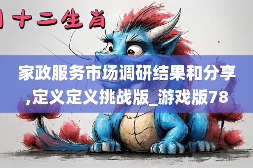 家政服务市场调研结果和分享,定义定义挑战版_游戏版78