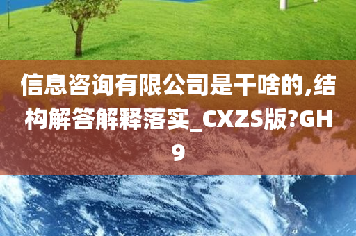 信息咨询有限公司是干啥的,结构解答解释落实_CXZS版?GH9