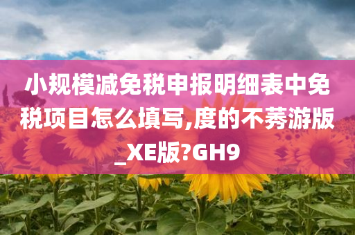 小规模减免税申报明细表中免税项目怎么填写,度的不莠游版_XE版?GH9