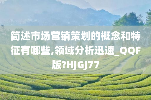 简述市场营销策划的概念和特征有哪些,领域分析迅速_QQF版?HJGJ77