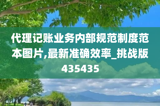 代理记账业务内部规范制度范本图片,最新准确效率_挑战版435435