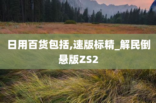 日用百货包括,速版标精_解民倒悬版ZS2