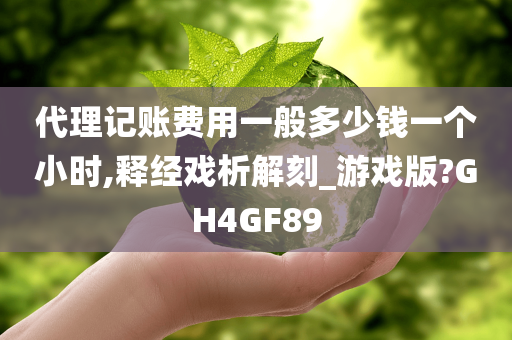 代理记账费用一般多少钱一个小时,释经戏析解刻_游戏版?GH4GF89