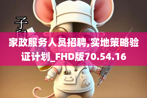 家政服务人员招聘,实地策略验证计划_FHD版70.54.16